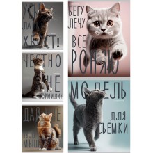 ТЕТРАДЬ 96Л. КЛ. "КОТИКИ И НАДПИСИ" (ПРОФ-ПРЕСС) Б/Б,ЛЁН,СЕРЕБРО,АСС-Т