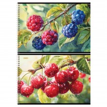 АЛЬБОМ Д/РИС. А4 32Л.ГРЕБЕНЬ "BOTANICAL" (BG) АСС-Т