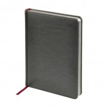 ЕЖЕДНЕВНИК НЕДАТИР. А5 BRUNO VISCONTI "SIDNEY NEBRASKA" СЕРЫЙ С СЕРЕБРЯНЫМ СРЕЗОМ,КОЖ.ЗАМ.