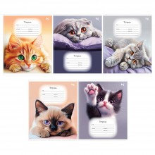 ТЕТРАДЬ 18Л. КЛ. "PURPLE CATS" (BG) Б/Б,ЛАК,АСС-Т ТЕТРАДЬ 18Л. КЛ. "PURPLE CATS" (BG) Б/Б,ЛАК,АСС-Т