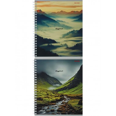 ТЕТРАДЬ НА ГРЕБНЕ 96Л. КЛ. "ТУМАННЫЕ ПЕЙЗАЖИ-1" (ПРОФ-ПРЕСС)