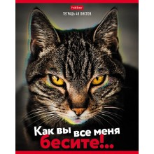 ТЕТРАДЬ 48 Л. КЛ. "КАК ВЫ ВСЕ МЕНЯ БЕСИТЕ!" (HATBER) Б/Б,АСС-Т